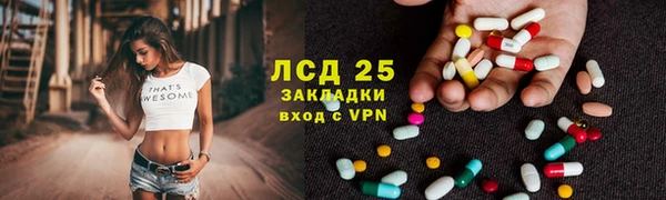 прущие грибы Абинск