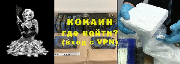 тгк Абаза