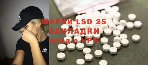 прущие грибы Абинск