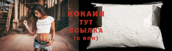тгк Абаза