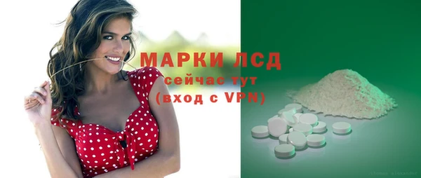 прущие грибы Абинск