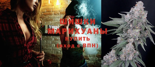 тгк Абаза
