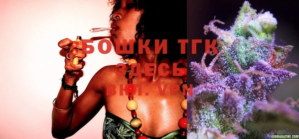 прущие грибы Абинск