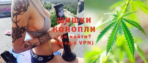прущие грибы Абинск