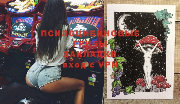 тгк Абаза