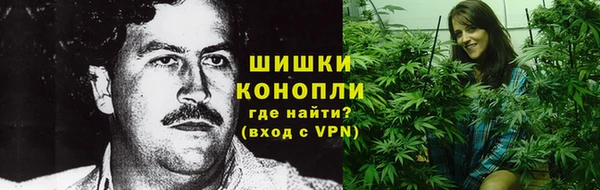 прущие грибы Абинск