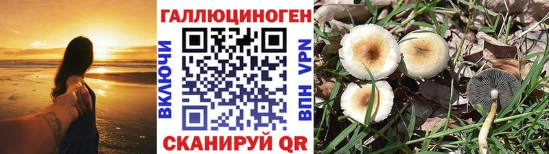 гидра маркетплейс  Остров  Галлюциногенные грибы прущие грибы 
